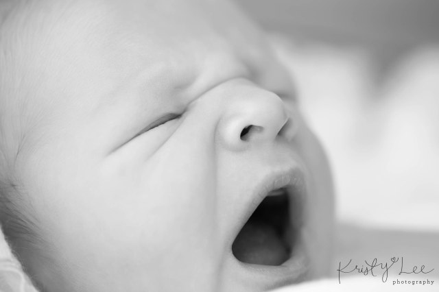 Newborn Perth Baby Family Photography